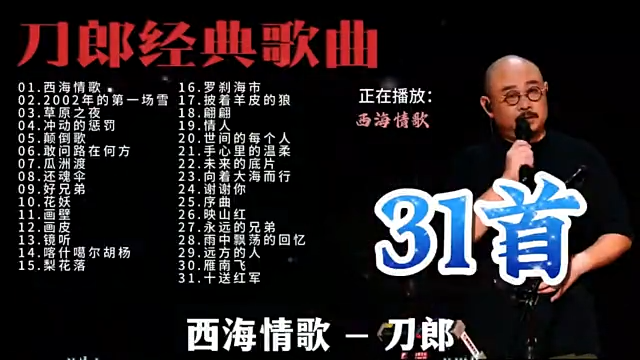 刀郎经典歌曲 2024 最火歌曲-玖万资源