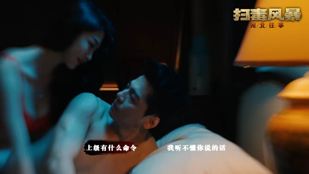 《扫毒风暴:宛北往事》