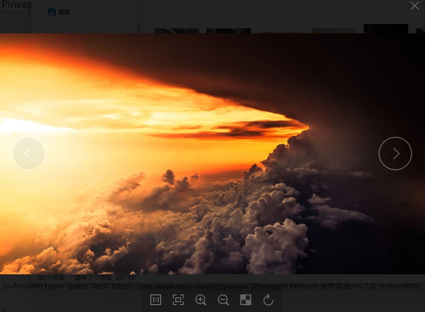 Pineapple Pictures 菠萝看图
