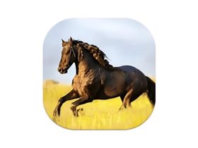 YourTV 你的电视TV v2.2.6 清爽版