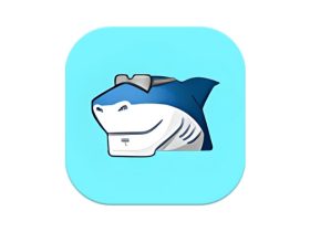 Shark007 Codecs 多媒体编解码器套件 v20.4.4 绿色版