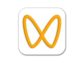 微信视频号下载工具 v251122 中文绿色版，支持直播回放、直播流