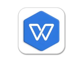 WPS Office 2019 专业增强版 v11.8.2.12330
