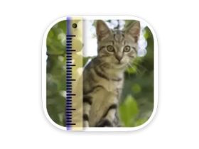 SizeMyPics for Mac v1.8.1 图像批量处理工具 图片格式转换器