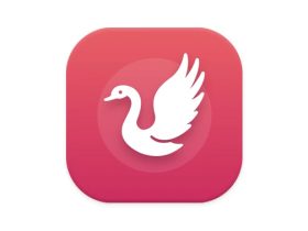 白天鹅影视 v1.9.8 去广告版 看剧更畅爽