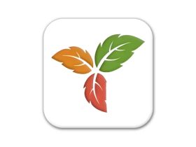 Trilium Notes 笔记应用程序  v0.100.0 中文绿色版