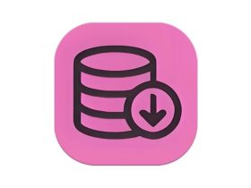 BIliDownloader B站视频下载器 v1.3.16 中文绿色版