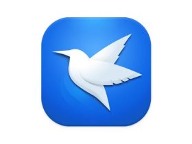 迅雷2025 Beta v25.0.1.1032 绿色精简版