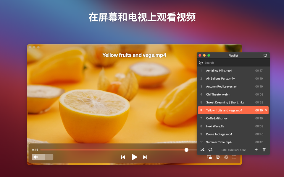 Elmedia Video Player Pro v8.24 流媒体文件播放器