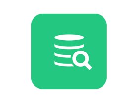 DbVisualizer Pro25.3.0 跨平台数据库管理工具