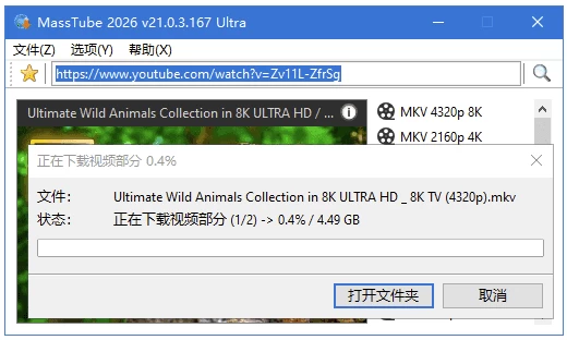 MassTube Ultra YouTube视频下载工具