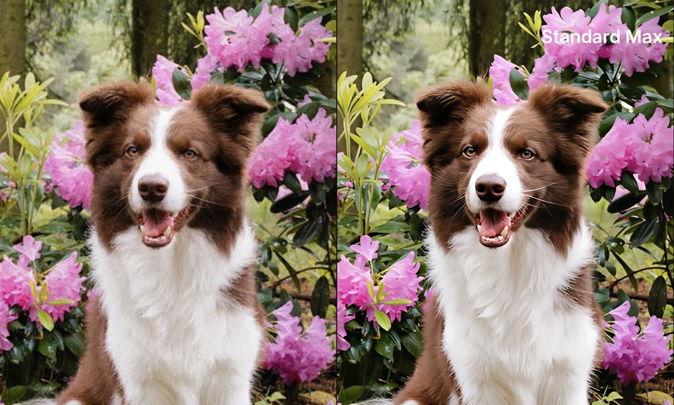 Topaz Gigapixel Pro v1.0.5 千兆像素AI智能图片放大软件 Win/macOS