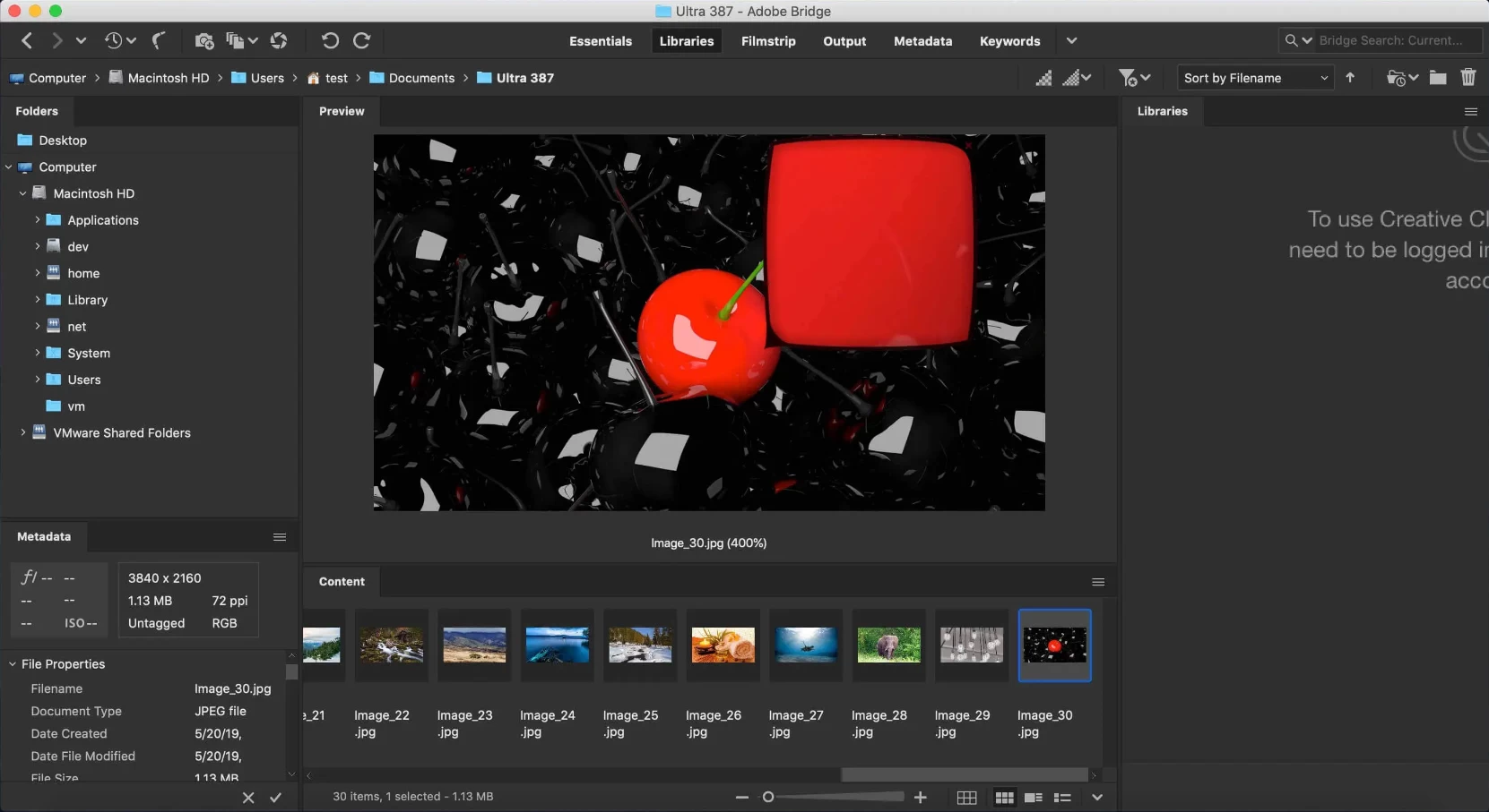 Adobe Bridge 2026 专业图像管理软件