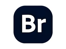 Adobe Bridge 2026 (16.0.1.18.00) 专业图像管理软件特别版