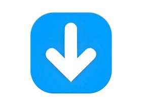 Any Video Downloader Pro 视频下载工具 v10.0.6 便携版