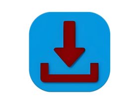 Fast Video Downloader 视频下载器 v4.0.0.78 多语便携版