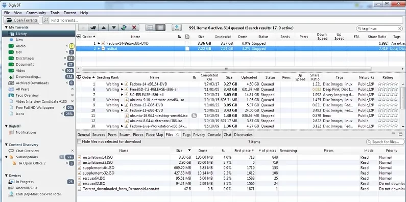 BiglyBT 开源免费BT种子客户端