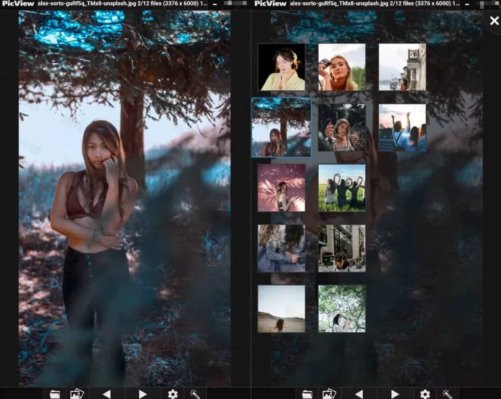 PicView 开源免费图像浏览器