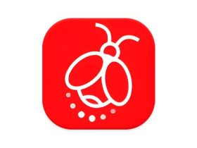 火萤动态壁纸 v1.0.6 手机动态桌面壁纸神器