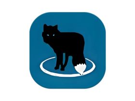 MetaFox 轻量级视频转换软件 v2.6.1.2 便携版