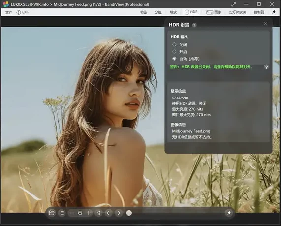 BandiView 图像查看器