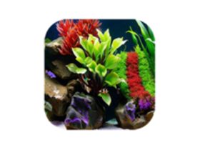 水族馆屏保 AI Aquarium Screensaver v1.3