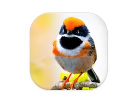 阔阔TV v1.3.3，影视频道非常丰富，电视家直播