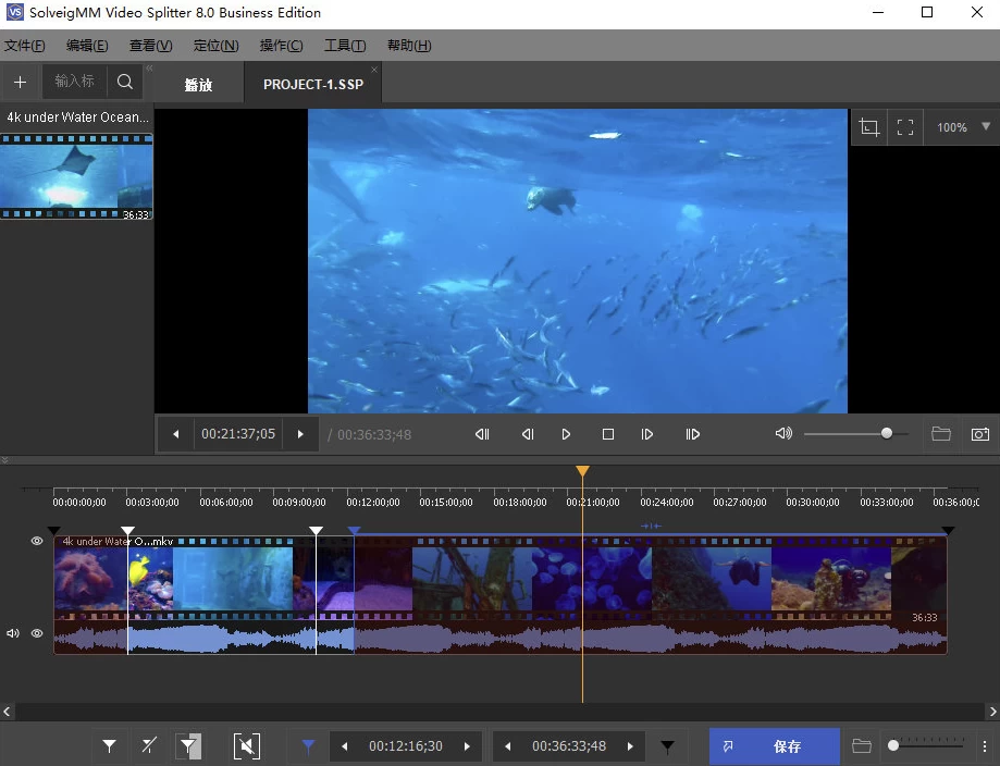 SolveigMM Video Splitter 视频剪辑