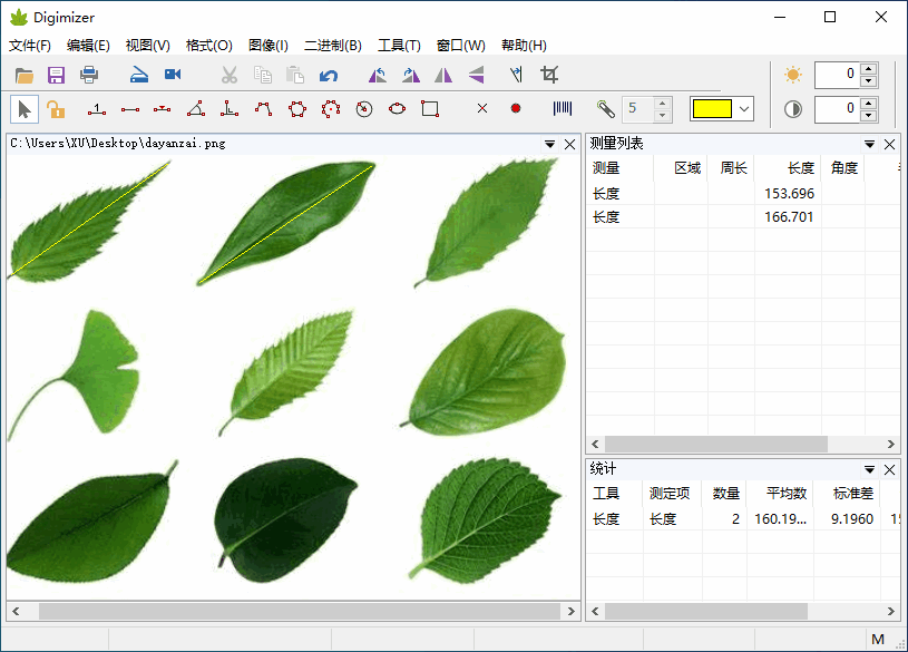 Digimizer 6.5.1 医学图像分析软件中文版