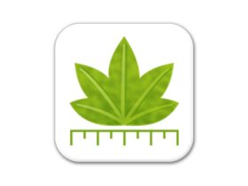 Digimizer 6.5.1 医学图像分析软件中文版